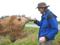 Lopez Island camel.jpg